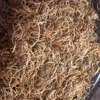 장만월님의 참깨 · 자유게시판 작성글 사진