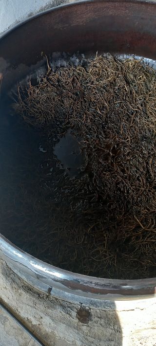 장만월님의 참깨 · 자유게시판 작성글 사진