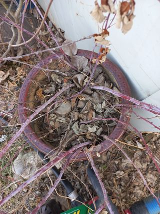 강정순님의 작성글 사진