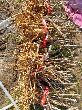 알 수 없음님의 기타작물 · 자유게시판 작성글 사진