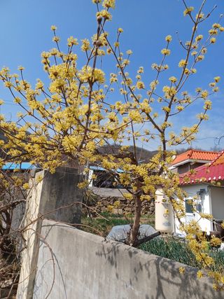 알 수 없음님의 기타작물 · 자유게시판 작성글 사진