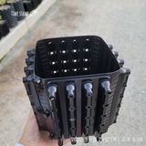 팜모닝 · 게시글 이미지