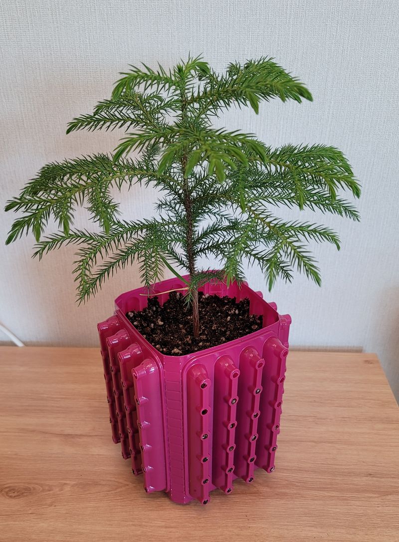 이선미님의 장터 판매 상품 [트리웰화분 2.5리터(12cm×12cm×17cm) 10개이상 판매] 첨부 사진