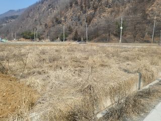 오목골농부님의 자유주제 · 자유게시판 작성글 사진