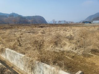 오목골농부님의 자유주제 · 자유게시판 작성글 사진