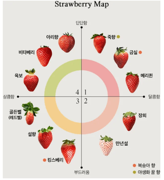 박주연님의 딸기 · 품종•종자 작성글 사진