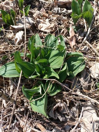 여우내 이순홍님의 기타작물 · 자유게시판 작성글 사진
