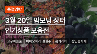 팜모닝님의 장터이야기·공지 작성글 사진