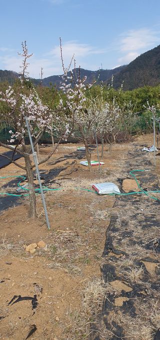 구상근님의 자유주제 · 자유게시판 작성글 사진