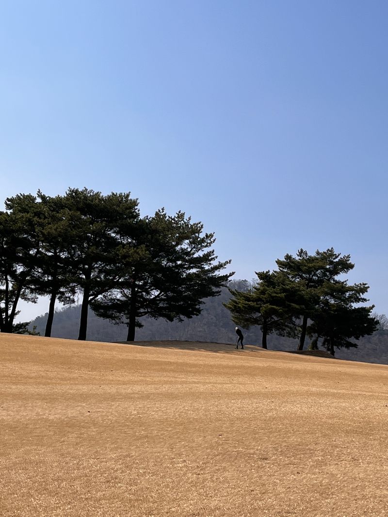 장터 상품 [이벤트] 썸네일