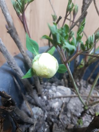 이호성님의 기타작물 · 자유게시판 작성글 사진