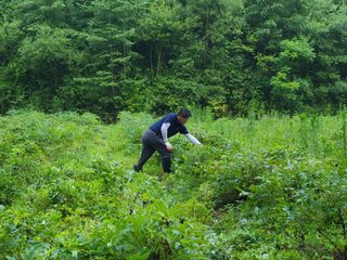 이호성님의 기타작물 · 자유게시판 작성글 사진