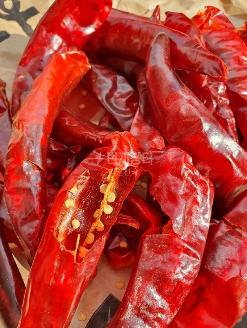 장터 상품 [[판매중단] 🌶 🌶 🌶태양초고추가루🌶 🌶 🌶 ] 썸네일