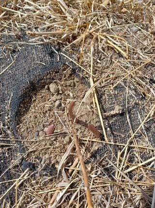 알 수 없음님의 기타작물 · 자유게시판 작성글 사진