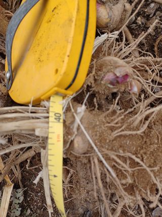 알 수 없음님의 기타작물 · 자유게시판 작성글 사진