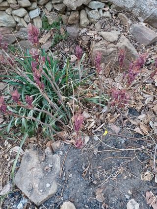 알 수 없음님의 기타작물 · 자유게시판 작성글 사진