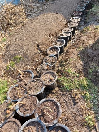 알 수 없음님의 기타작물 · 자유게시판 작성글 사진