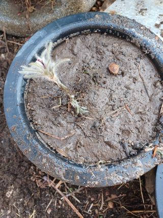 알 수 없음님의 기타작물 · 자유게시판 작성글 사진