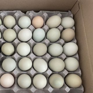 금숙님의 장터이야기 · 장터후기 작성글 사진