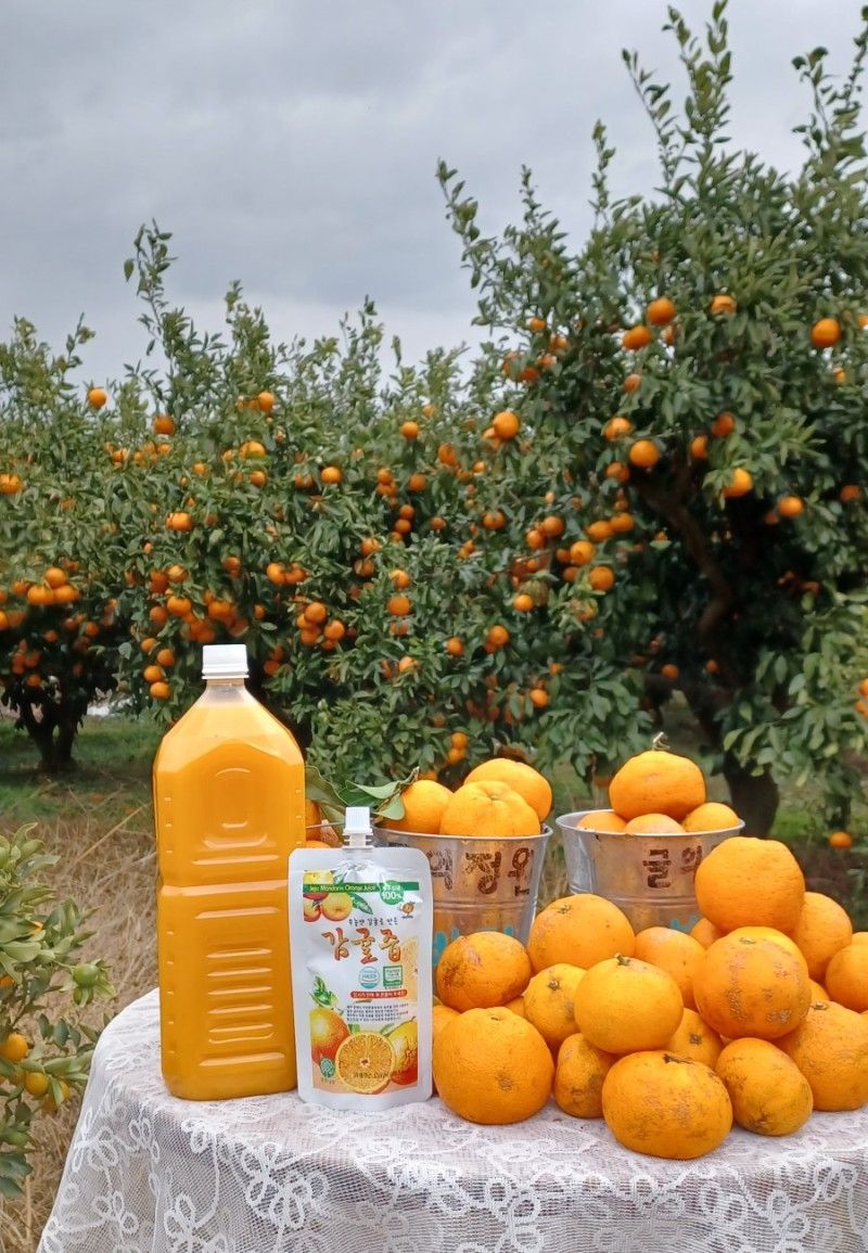 장터 상품 [100%감귤주스] 썸네일