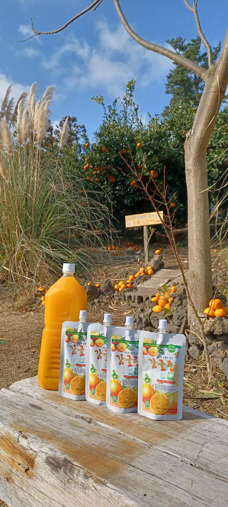 귤의정원바령님의 장터 판매 상품 [100%감귤주스] 첨부 사진