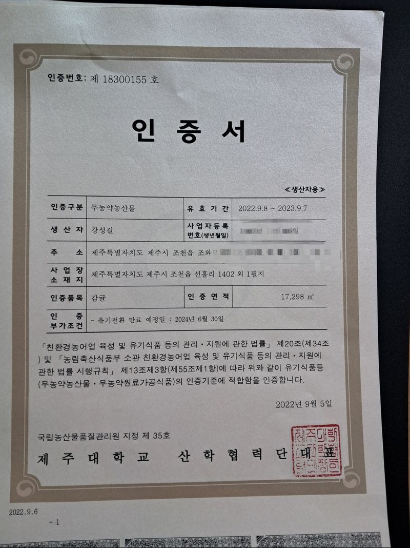 귤의정원바령님의 장터 판매 상품 [100%감귤주스] 첨부 사진