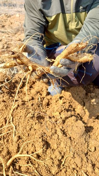 임오빈님의 작성글 사진