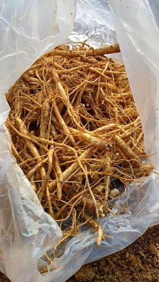 임오빈님의 작성글 사진