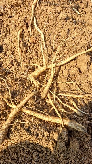 임오빈님의 작성글 사진