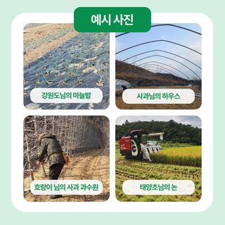 팜모닝님의 팜모닝공식 · 혜택 작성글 사진