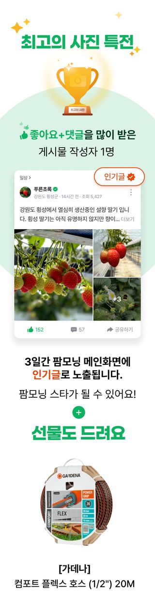 팜모닝님의 팜모닝공식 · 혜택 작성글 사진