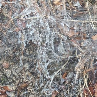 이종권님의 기타작물 · 자유게시판 작성글 사진