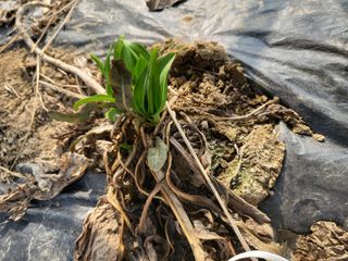 박순례님의 기타작물 · 자유게시판 작성글 사진