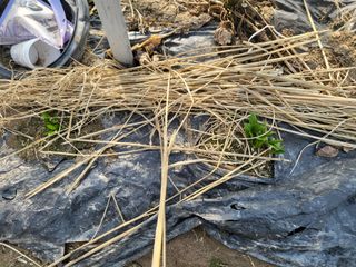 박순례님의 기타작물 · 자유게시판 작성글 사진