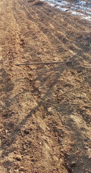 장만월님의 자유주제 · 사진전 작성글 사진