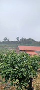 팜모닝 자유주제·사진전 게시글 이미지