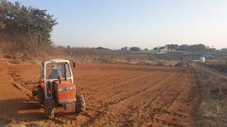 송하영님의 감자 · 자유게시판 작성글 사진