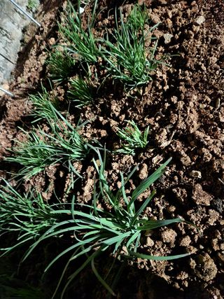 최승일님의 기타작물 · 자유게시판 작성글 사진