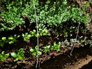 최승일님의 기타작물 · 자유게시판 작성글 사진