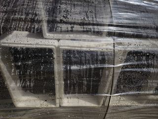 최승일님의 기타작물 · 자유게시판 작성글 사진