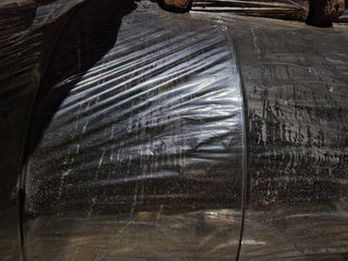 최승일님의 기타작물 · 자유게시판 작성글 사진