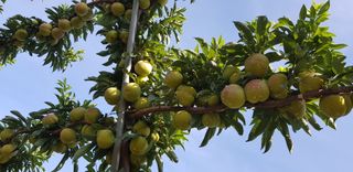 최동주님의 자유주제 · 자유게시판 작성글 사진