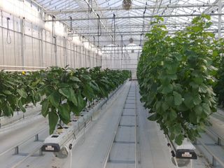 김종선님의 자유주제 · 사진전 작성글 사진