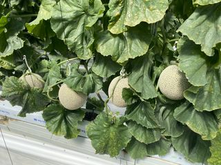 김종선님의 자유주제 · 사진전 작성글 사진