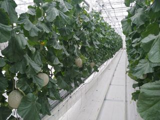 김종선님의 자유주제 · 사진전 작성글 사진