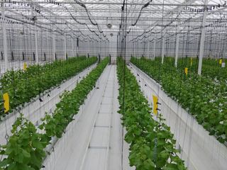 김종선님의 자유주제 · 사진전 작성글 사진