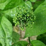 팜모닝 자유주제·사진전 게시글 이미지