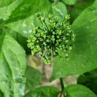 모두팜님의 자유주제 · 사진전 작성글 사진