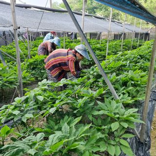 모두팜님의 자유주제 · 사진전 작성글 사진