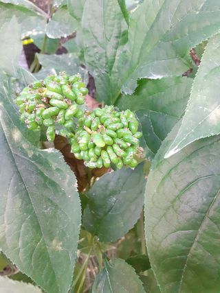 모두팜님의 자유주제 · 사진전 작성글 사진